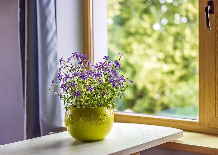 Galerija Prie Juros 3* Паланга