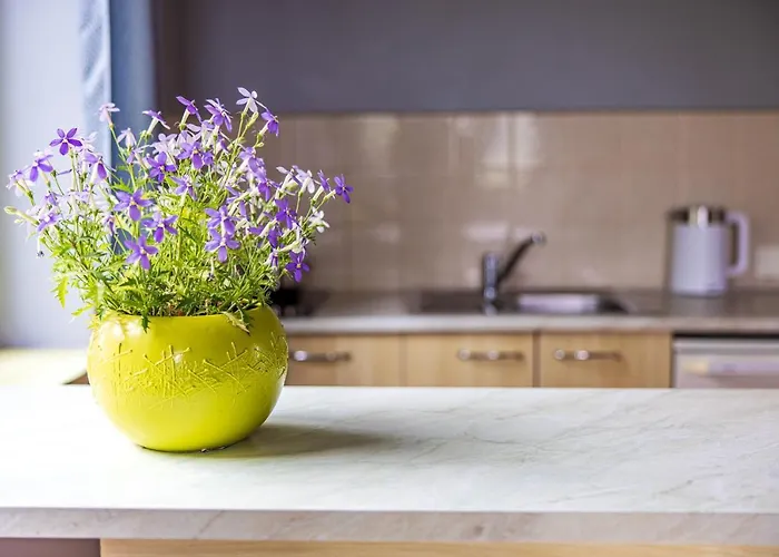 Galerija Prie Juros Паланга